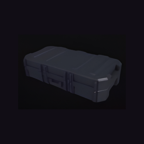 Skin Case (x3)